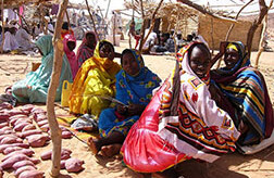 Darfur refugee camp. CREDIT: <a href="http://flickr.com/photos/knobil/66824893/in/set-1441812/">Mark Knobil</a> (<a href="http://creativecommons.org/licenses/by/2.0/deed.en-us">CC</a>).