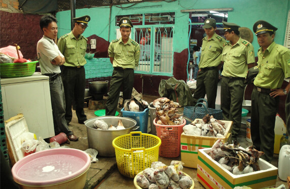 Forest Protection Department authorities examine confiscated wildlife products. CREDIT: &copy; <a href="http://www.wcs.org/">WCS Vietnam</a>.