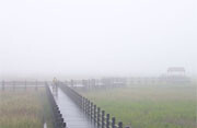 Mist over Dongtan Marsh. China plans to <br>build a model eco-city in the area. Photo <br>by <a href="http://flickr.com/photos/oohoo/140648874/">laughterwym</a> (<a href="http://creativecommons.org/licenses/by-nc-nd/2.0/deed.en-us">CC</a>).