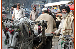 Street Scene in Peshawar, Pakistan. <br>Photo by Maxence Tombeur