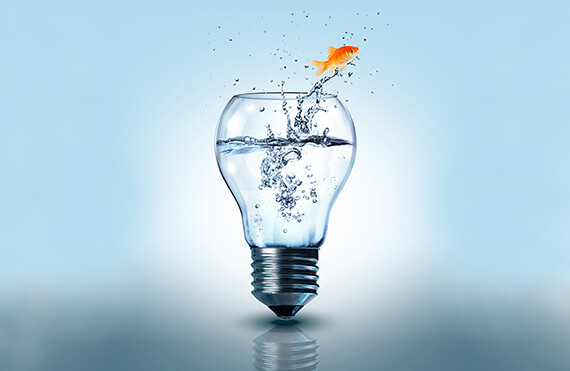 CREDIT: <a href="http://www.shutterstock.com/pic-180065405/stock-photo-goldfish-jumping-out-electric-bulb.html?src=pp-same_artist-179231555-jvbzQc6fGJJG4C9griHPOw-2">Romrf</a> (<a href="https://creativecommons.org/licenses/by-sa/2.0/">CC</a>)
