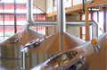 Lots of natural light at the <br>New Belgium Brewery. <br>Photo by <a href="http://flickr.com/photos/smason/35596350/">Sean Mason</a> (<a href="http://creativecommons.org/licenses/by/2.0/deed.en">CC</a>).