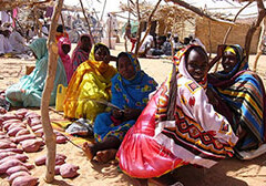 Darfur refugee camp. CREDIT: <a href="http://flickr.com/photos/knobil/66824893/in/set-1441812/">Mark Knobil</a> (<a href="http://creativecommons.org/licenses/by/2.0/deed.en-us">CC</a>).