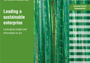 Cover image, IBM CSR Survey
