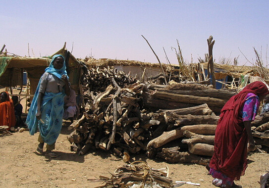 Firewood market in Darfur. CREDIT: <a href="http://flickr.com/photos/genocideintervention/2713877998/in/set-72157606434376928/">Genocide Intervention Network</a> (<a href="http://creativecommons.org/licenses/by-nc-sa/2.0/deed.en">CC</a>).