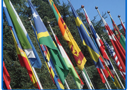 Avenue of Flags at the UN Building, <a href="http://www.flickr.com/photos/munksynz/1350801503/" target="_blank">munksynz</a>, <a href="http://creativecommons.org/licenses/by/2.0/deed.en" target="_blank">CC</a>)