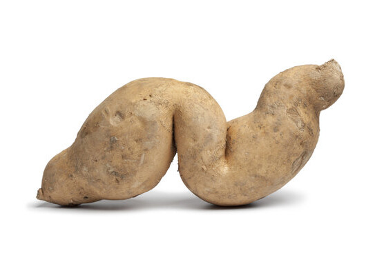 Sweet potato in a "special" shape. CREDIT: <a href="http://shutr.bz/1F9WhTC" target="_blank">Shutterstock</a>