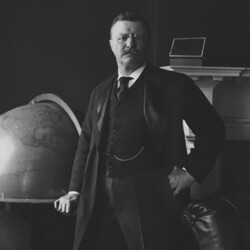 Teddy Roosevelt CREDIT: <a href=https://www.loc.gov/pictures/resource/ppmsca.36041/">Library of Congress</a>