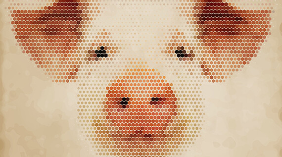 CREDIT: <a href="http://www.shutterstock.com/pic-256155163/stock-photo-illustration-of-pig-head-abstract-isolated-on-a-white-background.html?src=pp-same_artist-256155169-ayB7msNOwb6NTLdAMnyjbw-1&ws=1" target="_blank">Shutterstock </a>