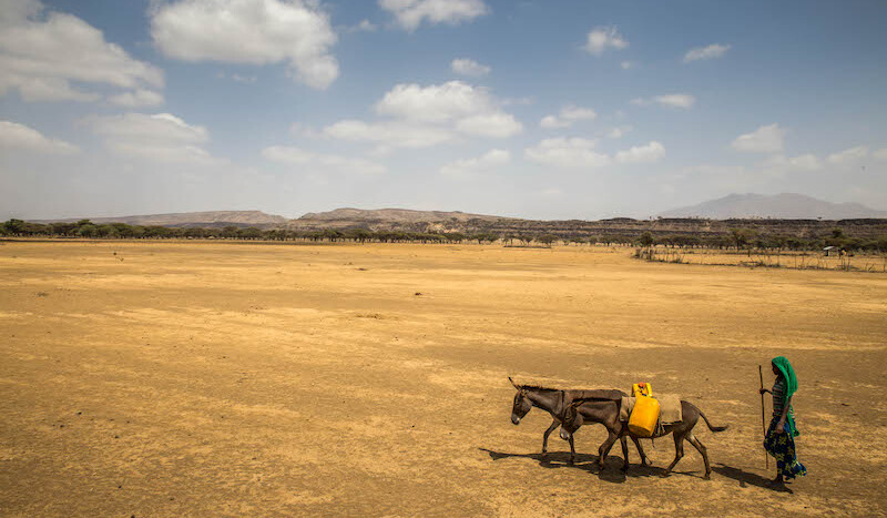 Ethiopia, during a drought in 2016. CREDIT: <a href="https://www.flickr.com/photos/unicefethiopia/24714637829">UNICEF Ethiopia</a> <a href="https://creativecommons.org/licenses/by-nc-nd/2.0/">(CC)</a>