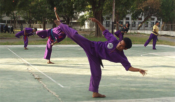 Kung fu training in East Timor. CREDIT: <a href="http://flickr.com/photos/jp-esperanca/2703059778/">J.&nbsp;P.&nbsp;Esperan&ccedil;a</a> (<a href="http://creativecommons.org/licenses/by-nc-nd/2.0/deed.en">CC</a>).