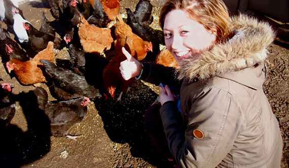 Kathryn Redford, co-founder of Ofbug, feeding chickens with worms.