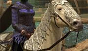 Screen shot from EverQuest II. Image by <br>TexMurphy (<a href="http://en.wikipedia.org/wiki/Image:Eq2_level_60_mount.jpg">Fair Use</a>).