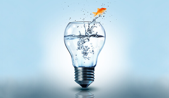CREDIT: <a href="http://www.shutterstock.com/pic-180065405/stock-photo-goldfish-jumping-out-electric-bulb.html?src=pp-same_artist-179231555-jvbzQc6fGJJG4C9griHPOw-2">Romrf</a> (<a href="https://creativecommons.org/licenses/by-sa/2.0/">CC</a>)