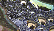 Oil spill. Photo by <a href="http://flickr.com/photos/esqenzo/320311357/">Jay-P</a> (<a href="http://creativecommons.org/licenses/by-nd/2.0/deed.en">CC</a>).