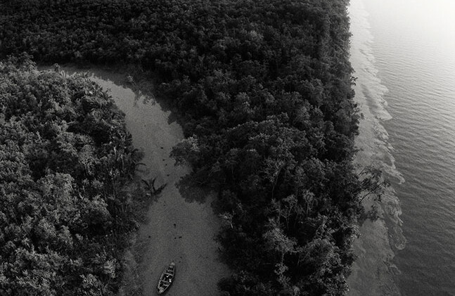 横跨印度和孟加拉国边境的孙德尔本斯红树林在 2014 年 12 月的一次大规模漏油事件中遭到破坏。图片来源：Arati Kumar-Rao