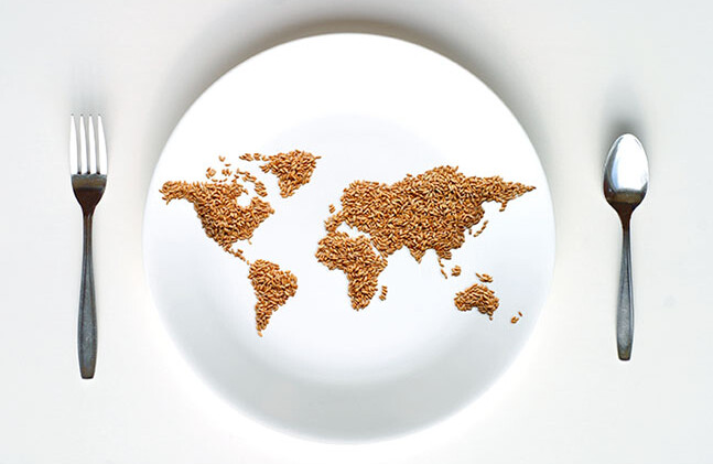 Carte mondiale des céréales sur assiette