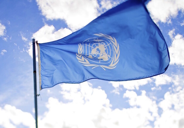 UN flag https://www.flickr.com/photos/sanjit/6365386329/sizes/l