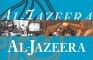 Al-Jazeera: How the Free Arab News Network Scooped the World and Changed the Middle East por Nawawy y Farag