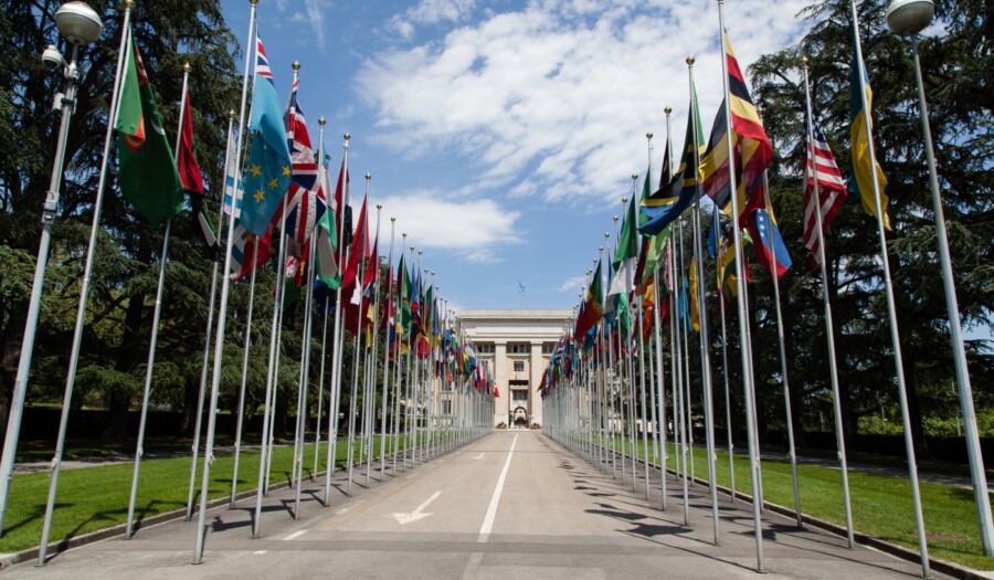 United Nations Flags. Photo credit: Tom Page via Flickr.